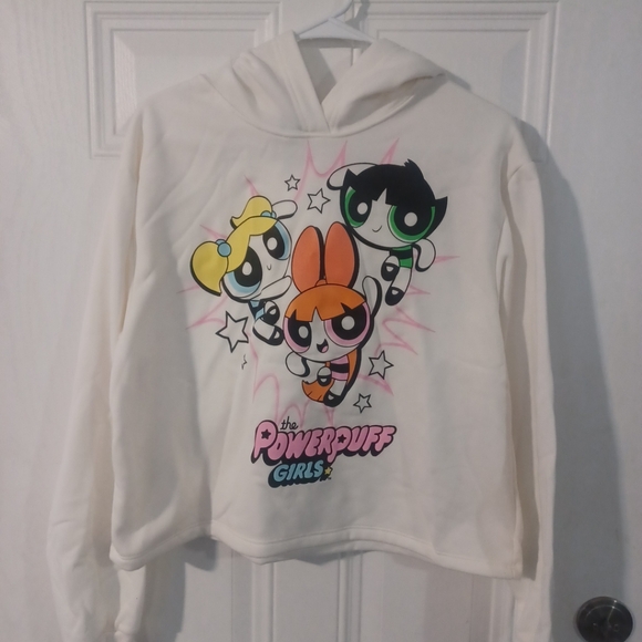 Powerpuff Girls Cartoon Network Cropped Hoodie Sweatshirt Junior size L - Picture 1 of 9